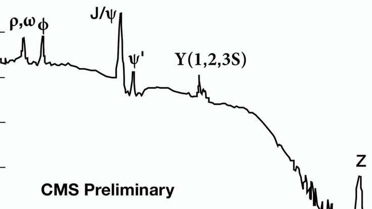 Image of CMS Preliminary