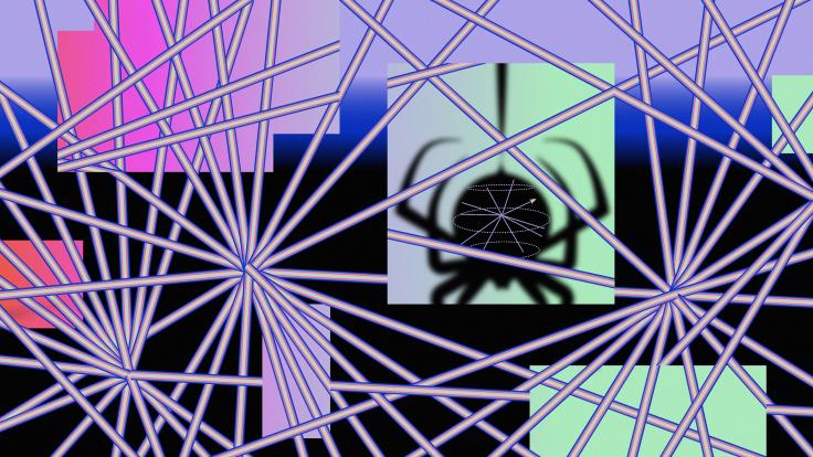 Illustration of a spider in a web