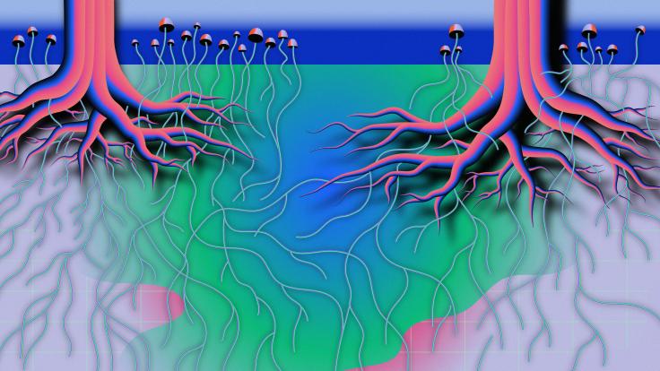Illustration of tree roots and mushrooms