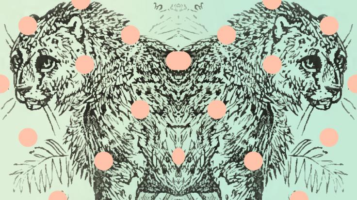 Illustration: a mirror image of a cat