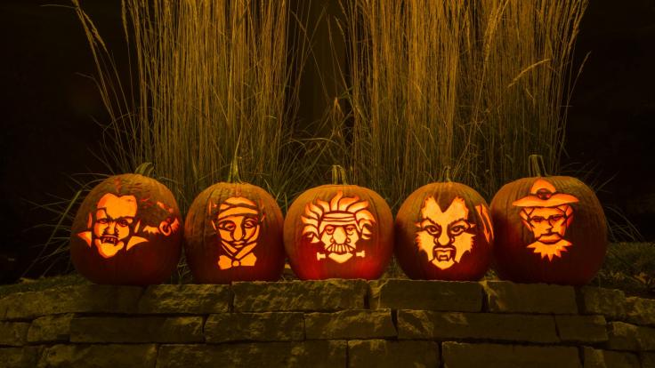 Photo of Jack o' Lanterns lined up 