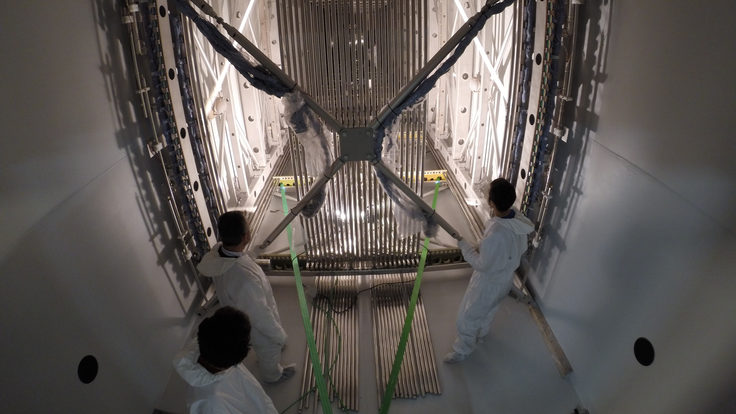 Photo of ICARUS move 1