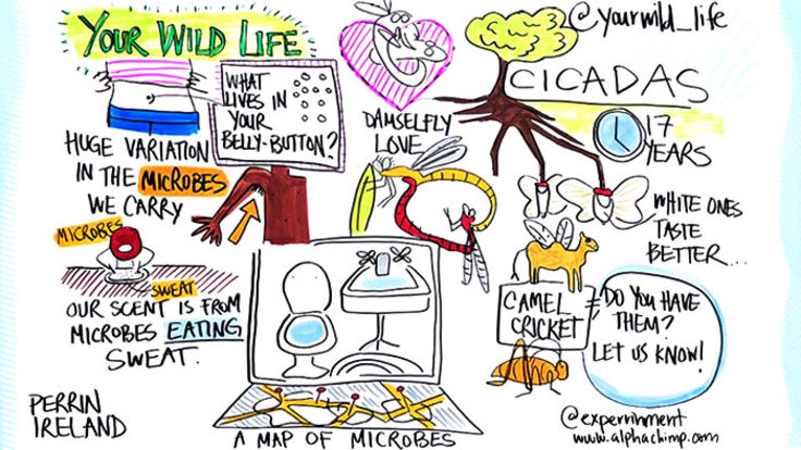 Illustration of "Your Wild Life" Huge variation in the microbes we carry microbes