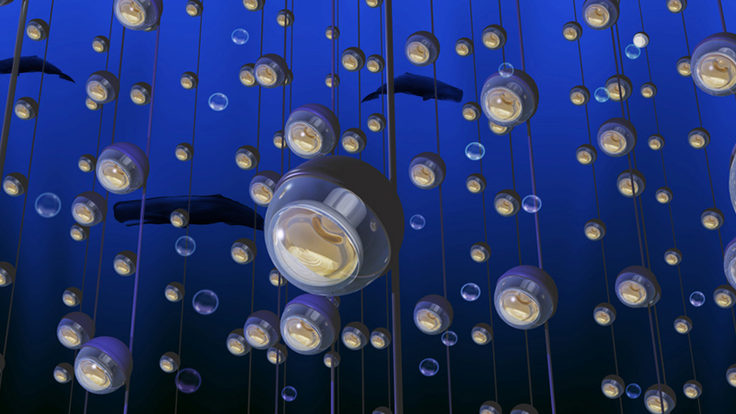 An illustration of whales swimming among sensors