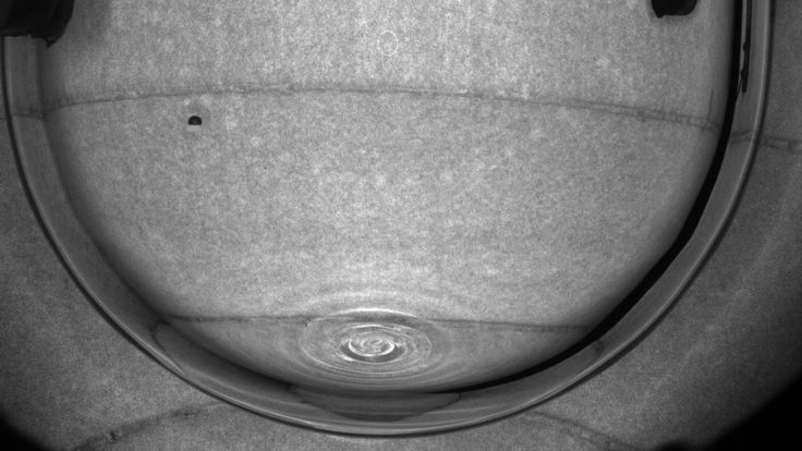 Photo of COUPP-60 first bubble large