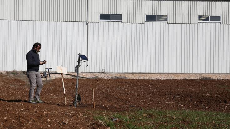 A technician from the Optosmart company examines the field in the Bekaa valley in Lebanon.